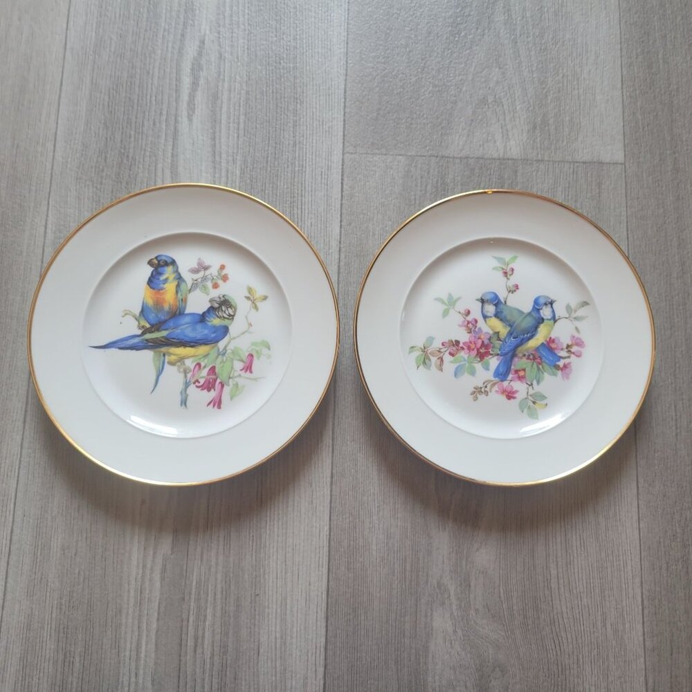 Set Of 2 Western Germany Bird Motif Decorative Plates With Gold Rim